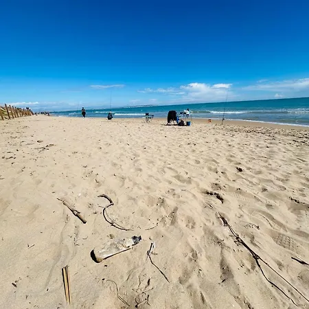 Laguna 88