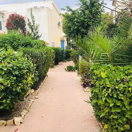 Laguna 88 *